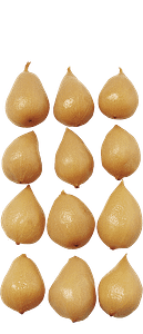 imgFR050L